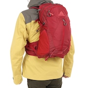 (メンズ、レディース)バックパック リュック 登山 ハイキング マヤ15 1452789975 レッド 15L