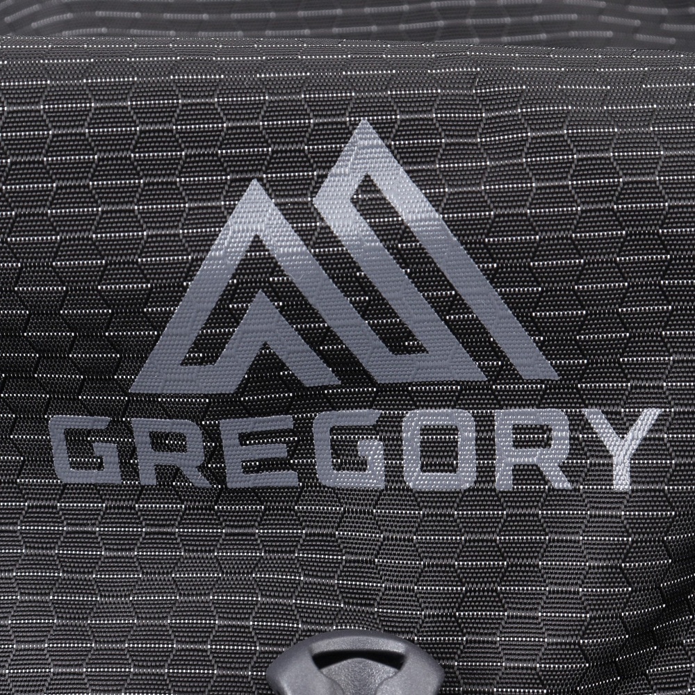 グレゴリー（GREGORY）（メンズ、レディース）バックパック リュック 登山 ハイキング ナノ 24L オプティックブラック 1530599974