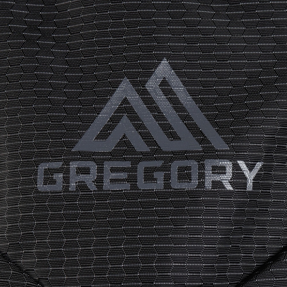 グレゴリー（GREGORY）（メンズ、レディース）バックパック リュック 登山 ハイキング ナノ 20 1530589974