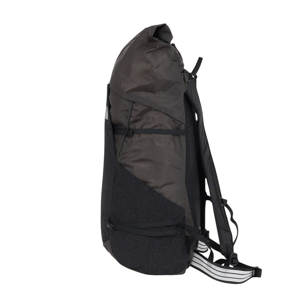 ザ・ノース・フェイス（THE NORTH FACE）（メンズ、レディース）バック