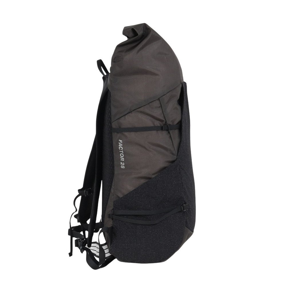 ザ・ノース・フェイス（THE NORTH FACE）（メンズ、レディース）バック