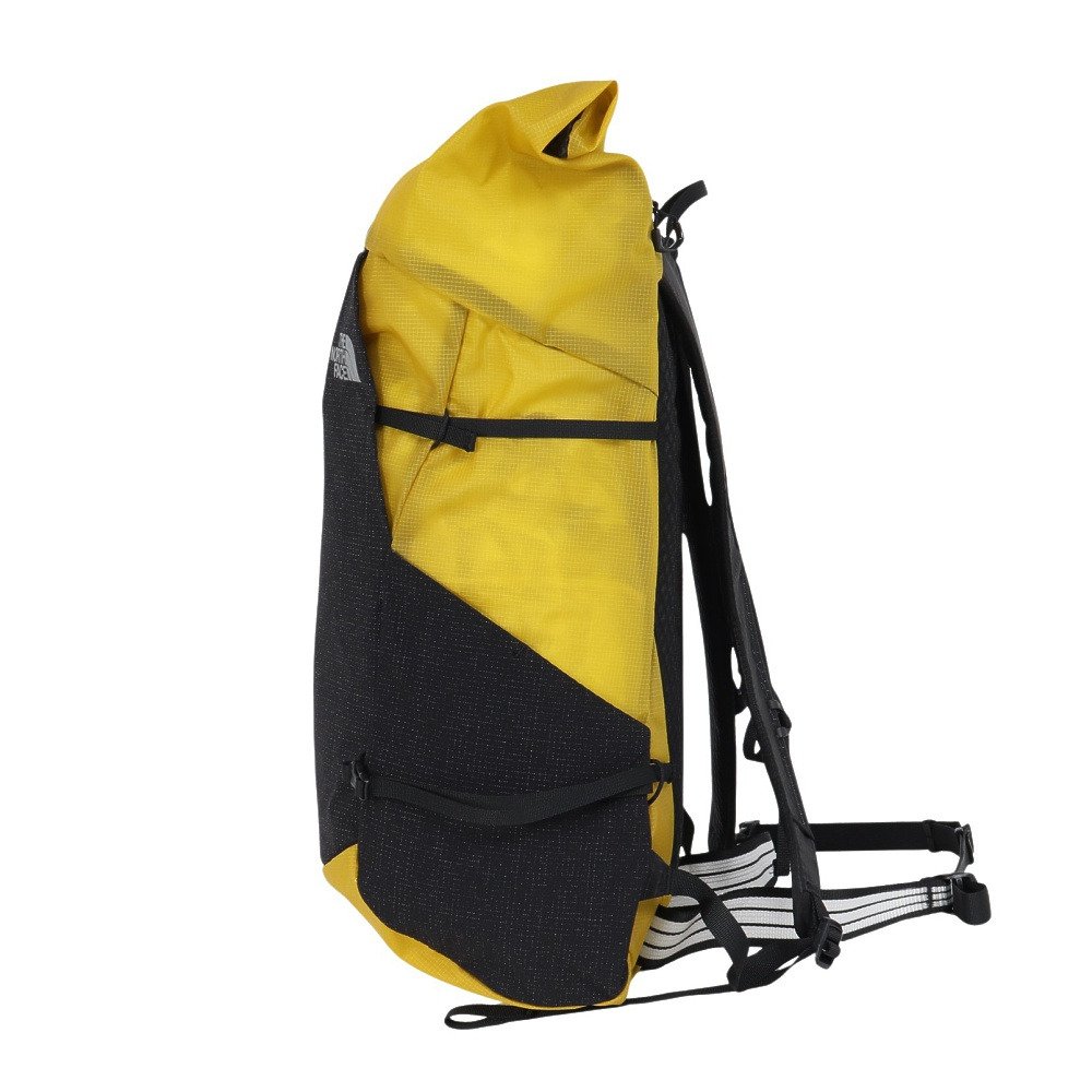 ザ・ノース・フェイス（THE NORTH FACE）（メンズ、レディース）バック