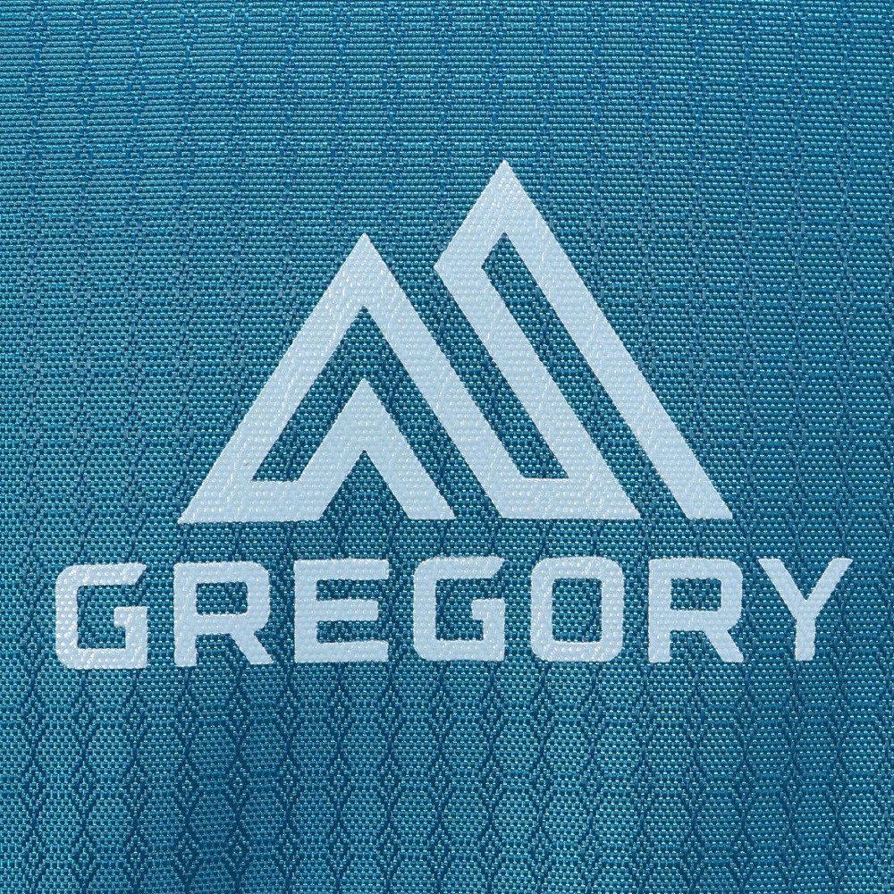 グレゴリー（GREGORY）（メンズ）バックパック リュック 登山 ハイキング ズール 20 LT 149315A799