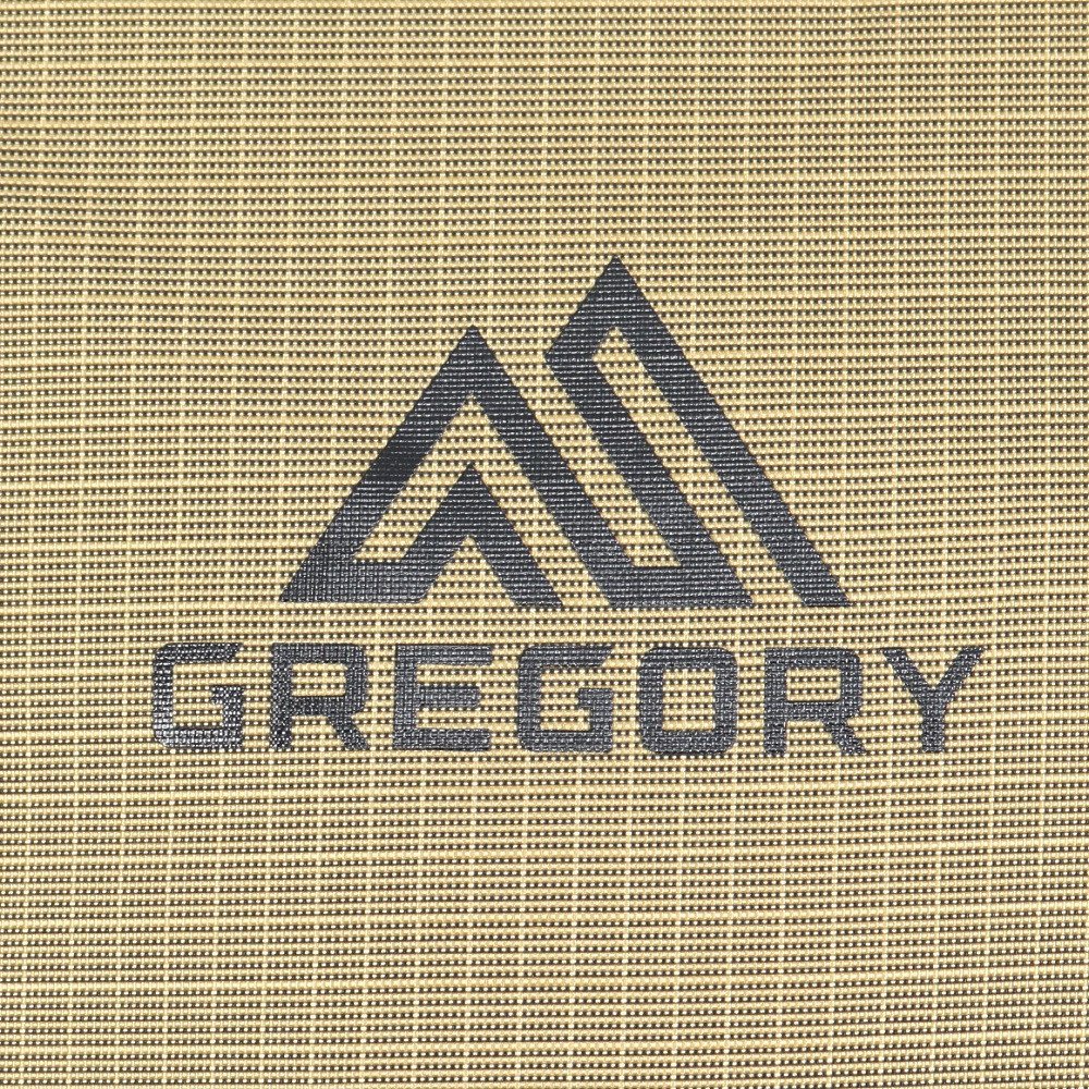 グレゴリー（GREGORY）（メンズ、レディース）バックパック リュック 登山 ハイキング アリオ20 157881A791