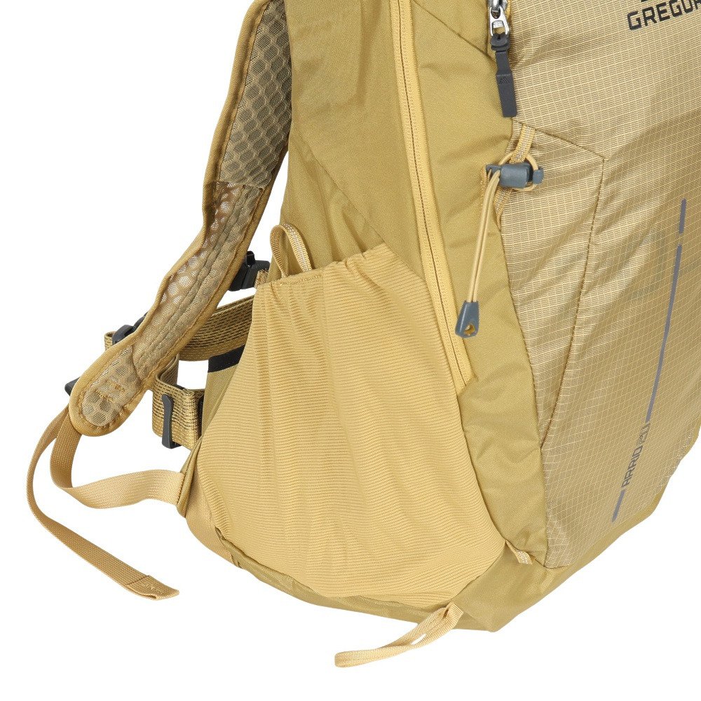 グレゴリー（GREGORY）（メンズ、レディース）バックパック リュック 登山 ハイキング アリオ20 157881A791