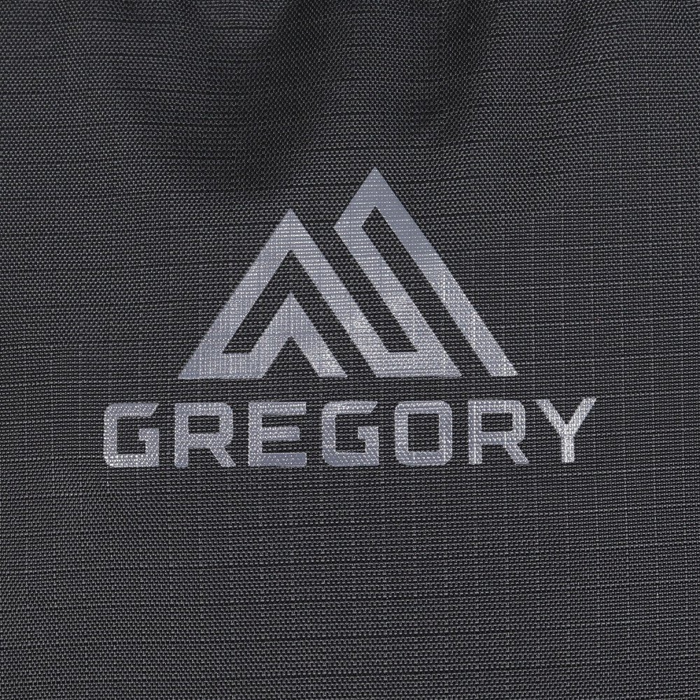グレゴリー（GREGORY）（メンズ、レディース）バックパック リュック 登山 ハイキング アリオ20シャドウパイン ブラック 157881A798