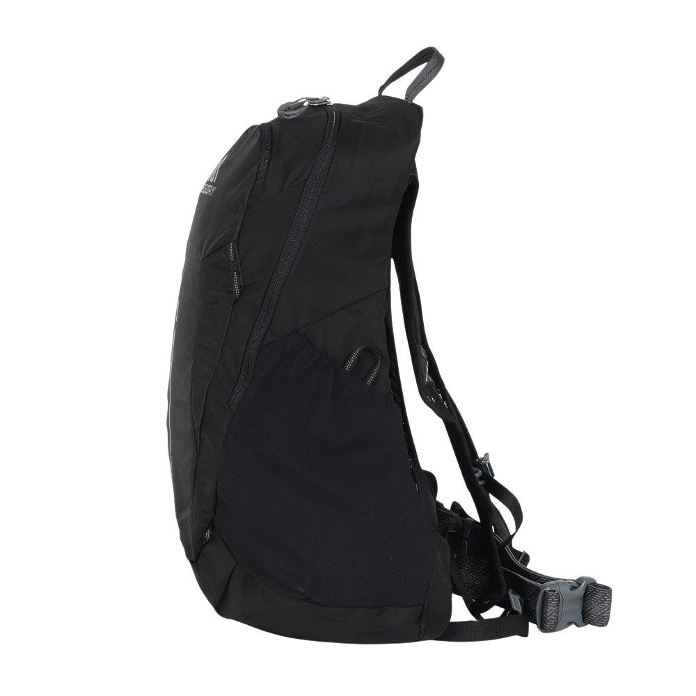 グレゴリー（GREGORY）（メンズ、レディース）バックパック リュック 登山 ハイキング アリオ20シャドウパイン ブラック 157881A798