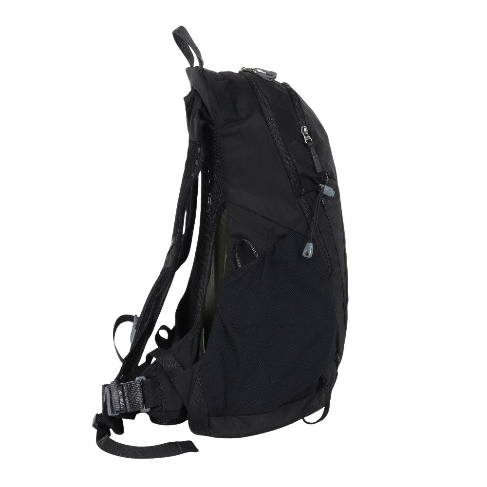 グレゴリー（GREGORY）（メンズ、レディース）バックパック リュック 登山 ハイキング アリオ20シャドウパイン ブラック 157881A798