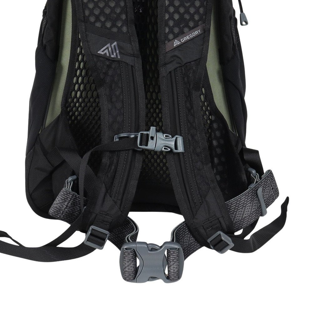 グレゴリー（GREGORY）（メンズ、レディース）バックパック リュック 登山 ハイキング アリオ20シャドウパイン ブラック 157881A798