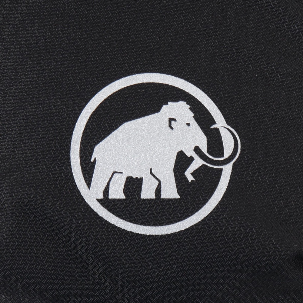 マムート（MAMMUT）（メンズ、レディース）ポーチ リチウム アドオン ショルダー ハーネス ポケット L 2810-00810-0001