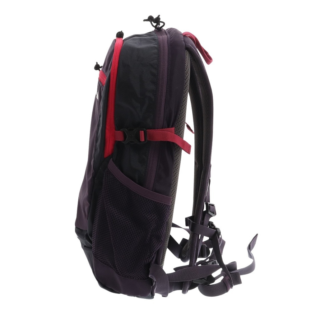 コロンビア バックパック Castle Rock 15l キャッスルロック 15l リュック Pu バイオレット 通勤 通学 防災 登山 アウトドア キャンプ用品はエルブレス