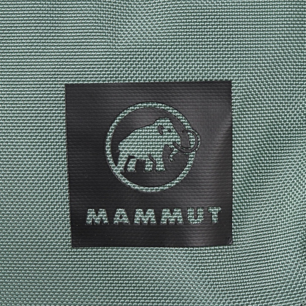 マムート（MAMMUT）（メンズ、レディース）バッグ バックパック リュック エクセロン メッセンジャー 14 2810-00170-40236