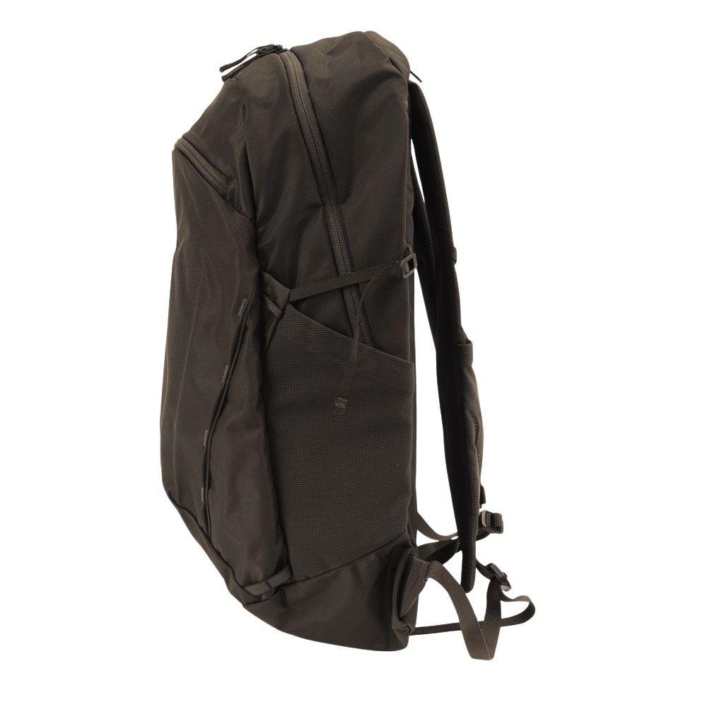 ザ・ノース・フェイス（THE NORTH FACE）（メンズ、レディース）バック