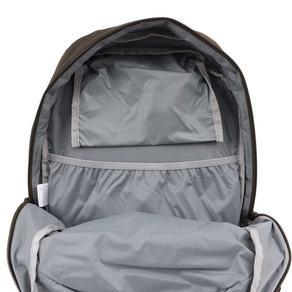 ザ・ノース・フェイス（THE NORTH FACE）（メンズ、レディース）バック