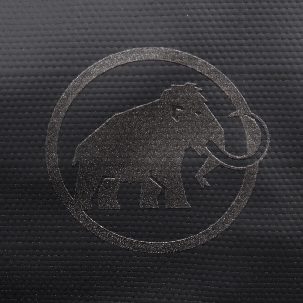 マムート（MAMMUT）（メンズ、レディース）バッグ バックパック リュック アルト 28 2570-00290-0001