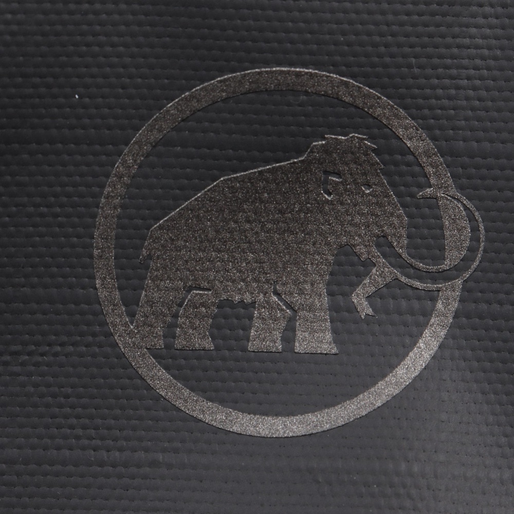 マムート（MAMMUT）（メンズ）バッグ バックパック リュック アルト 22 2570-00300-0001