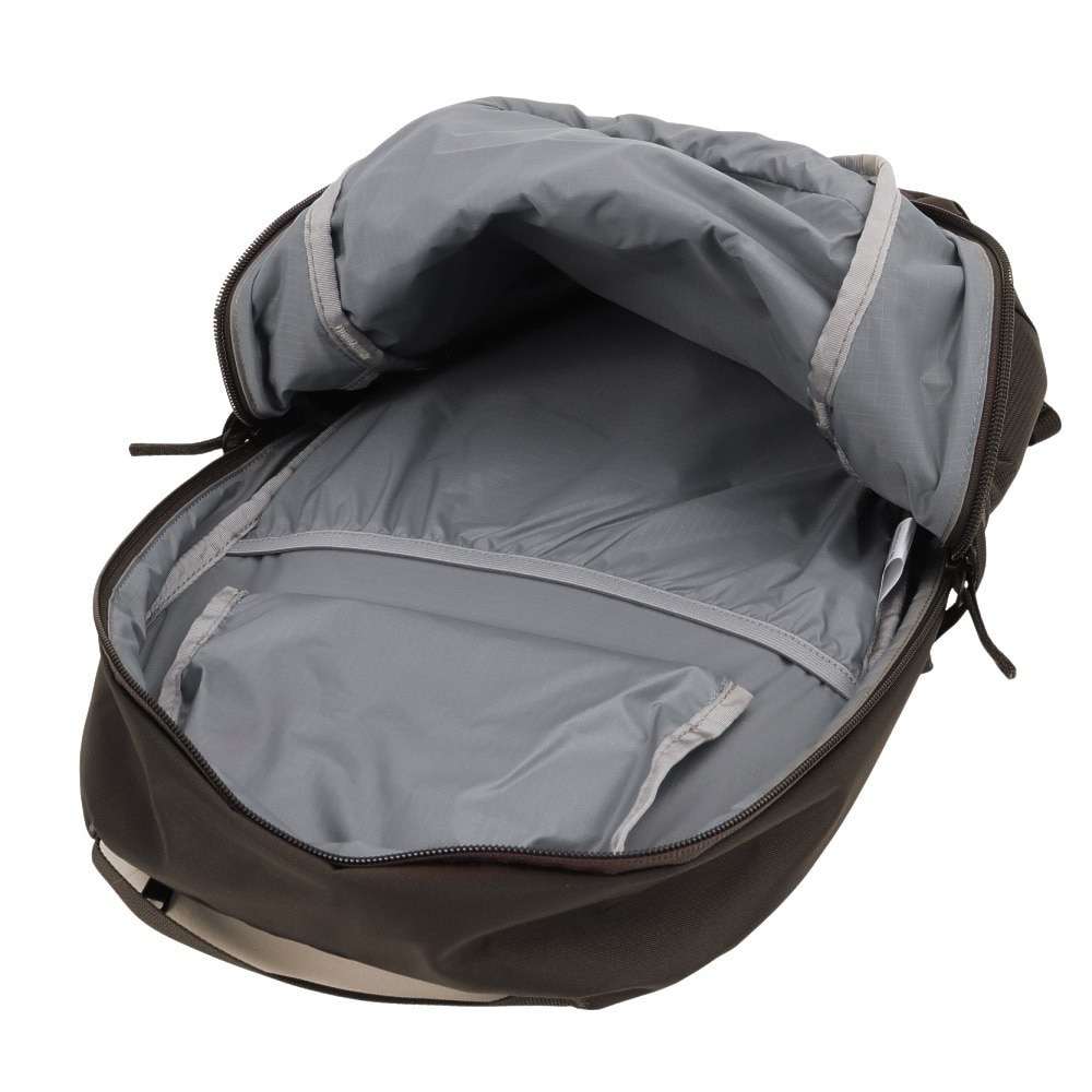 ザ・ノース・フェイス（THE NORTH FACE）（メンズ、レディース）バック