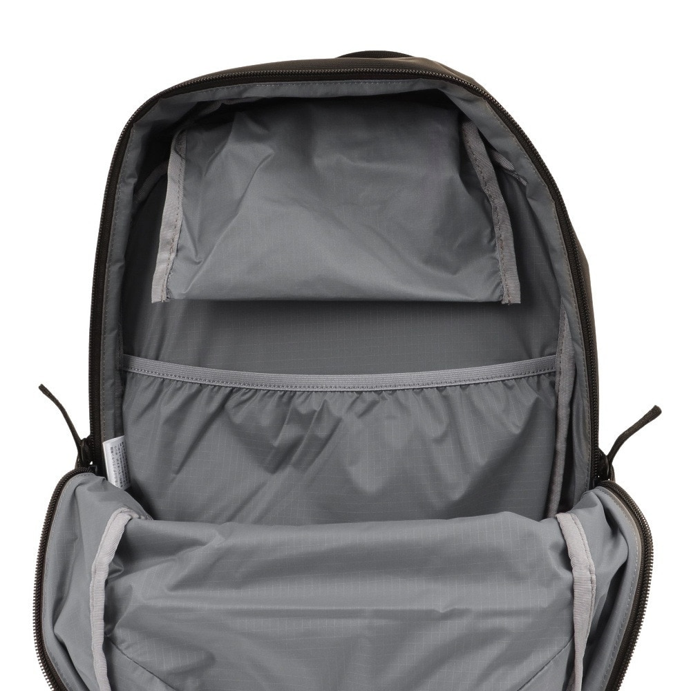 ザ・ノース・フェイス（THE NORTH FACE）（メンズ、レディース）バック