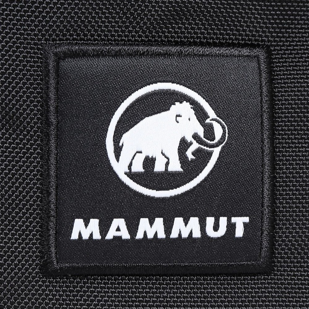 マムート（MAMMUT）（メンズ、レディース）バッグ バックパック
