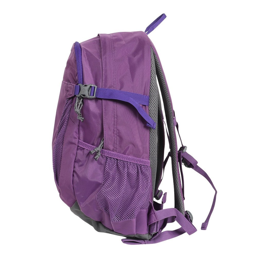 コロンビア（Columbia）（メンズ、レディース）バッグ バックパック リュック キャッスルロック 25L バックパックII PU8662 536
