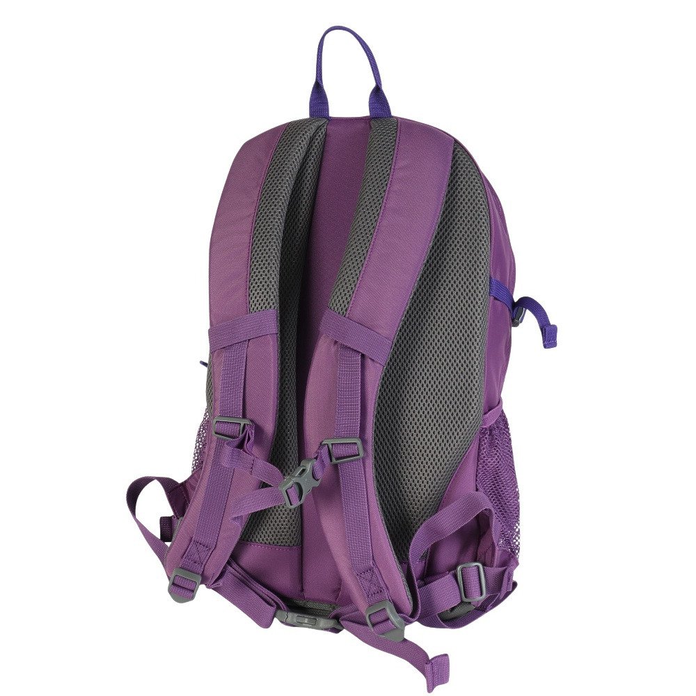 コロンビア（Columbia）（メンズ、レディース）バッグ バックパック リュック キャッスルロック 20L バックパック II PU8663 536