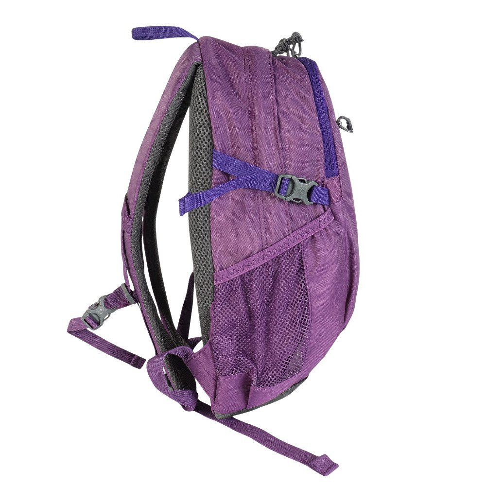コロンビア（Columbia）（メンズ、レディース）バッグ バックパック リュック キャッスルロック 15L バックパックII PU8664 536