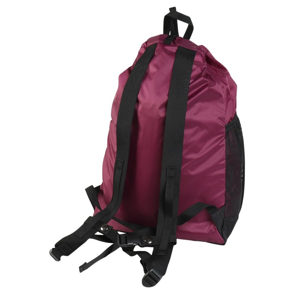 ロジャーエーガー（ROGEREGGER）（メンズ、レディース、キッズ）バッグ バックパック リュック Light Sack 20L RE26S335650007 ENG