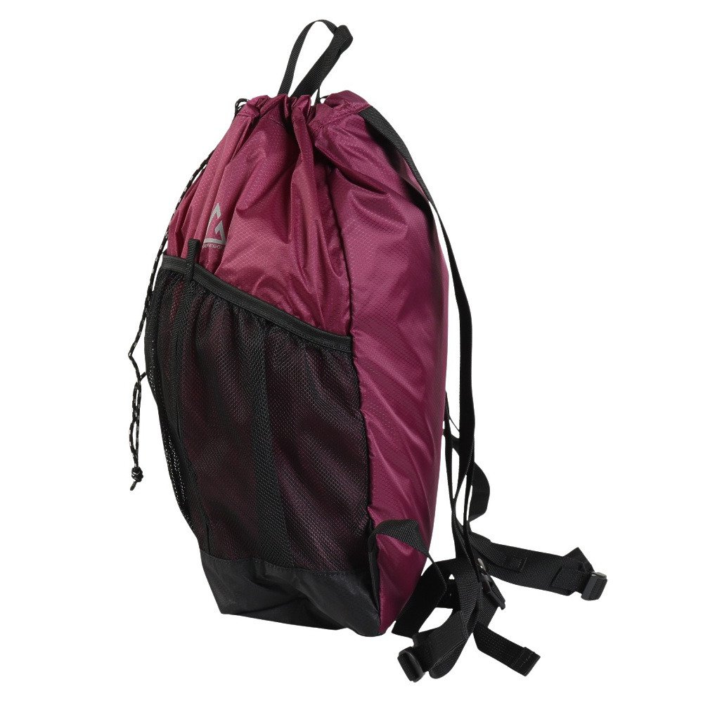 ロジャーエーガー（ROGEREGGER）（メンズ、レディース、キッズ）バッグ バックパック リュック Light Sack 20L RE26S335650007 ENG