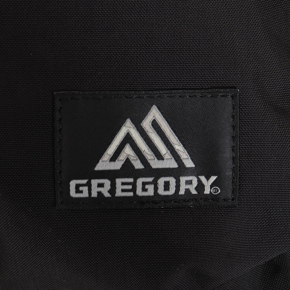グレゴリー（GREGORY）（メンズ、レディース）バッグ リュック バックパック スクールデイ 1444311041 ブラック 16L