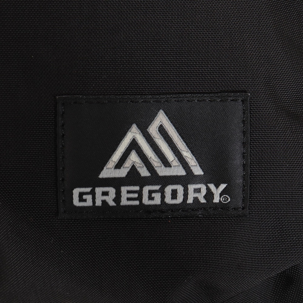 グレゴリー（GREGORY）（メンズ、レディース）軽量 日帰り旅行サイズ 通勤 通学 バッグ リュック バックパック スクールデイ 1444311041 ブラック 16L