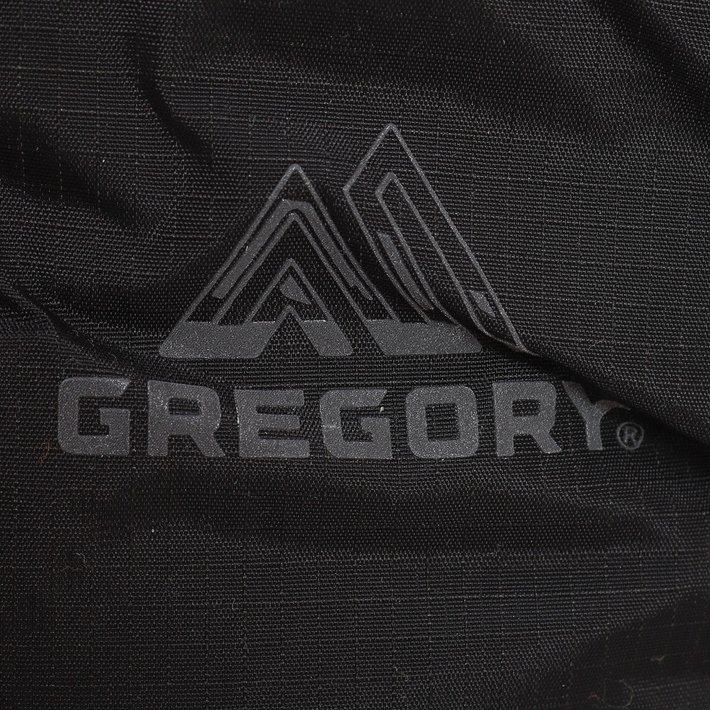 グレゴリー（GREGORY）（メンズ）バッグ リュック バックパック アレン20 AL-ズームブラック 146724L396 20L