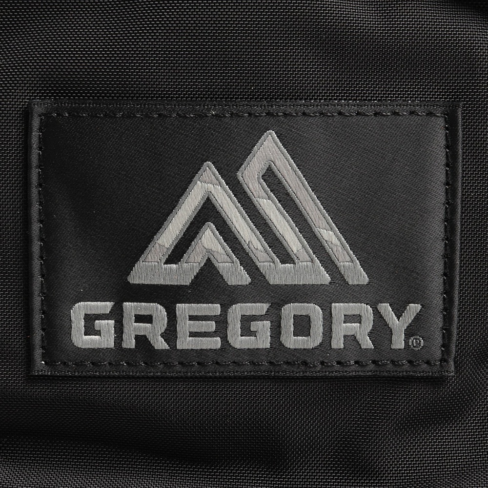 グレゴリー（GREGORY）（メンズ、レディース）バッグ リュック バックパック ファインデイ V2 1464931041 ブラック 18L