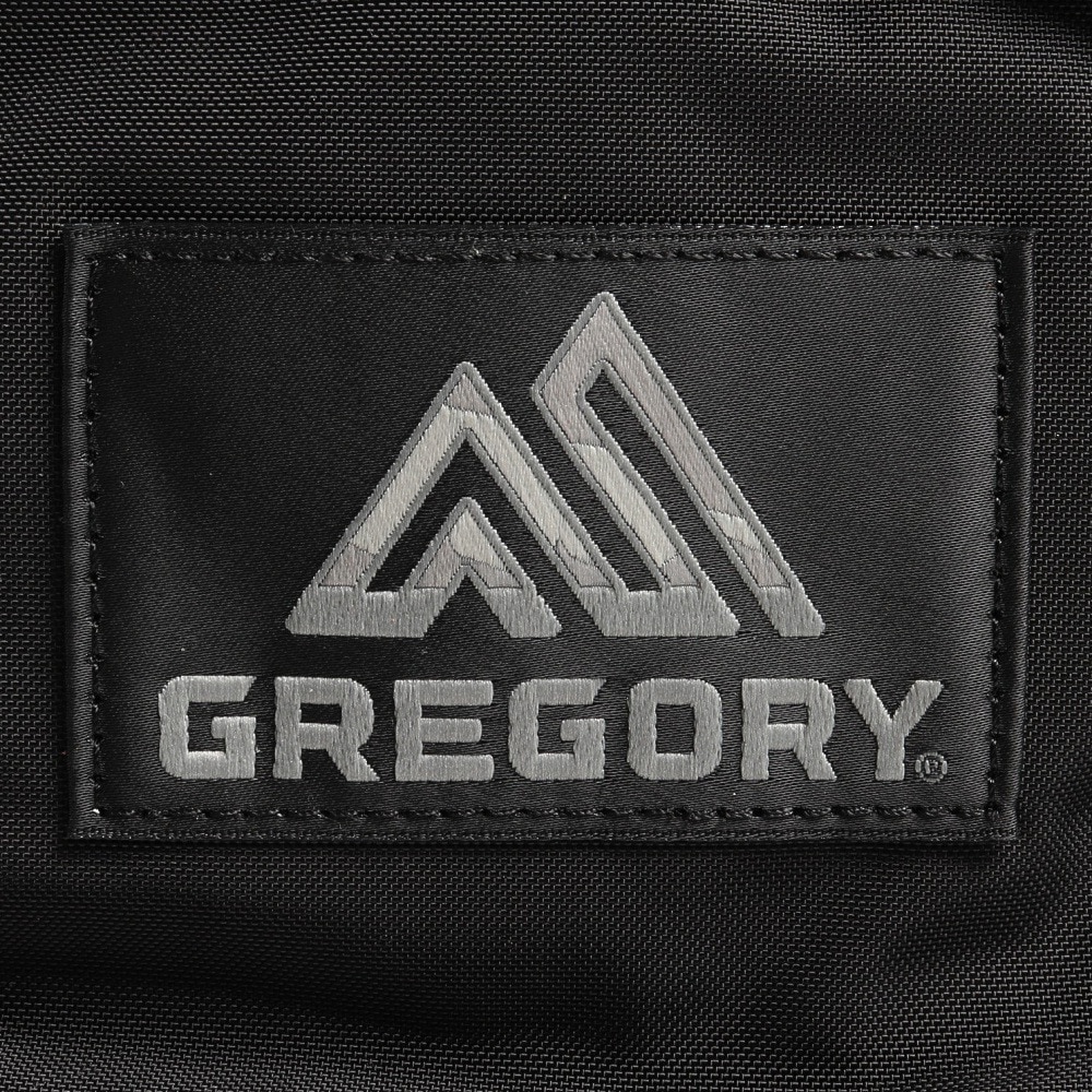 グレゴリー（GREGORY）（メンズ、レディース）バックパック リュック ファインデイ V2 FINE DAY 1464931041 ブラック 18L 通勤 通学