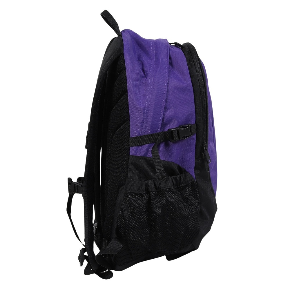 ザ・ノース・フェイス（THE NORTH FACE）（メンズ、レディース）バッグ バックパック リュック シングルショット NM72303 PL パープル 20L 新色 小型