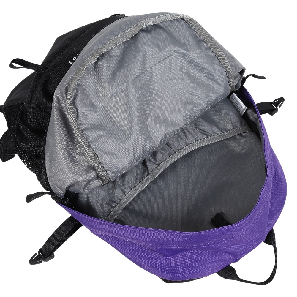 ザ・ノース・フェイス（THE NORTH FACE）（メンズ、レディース）バッグ バックパック リュック シングルショット NM72303 PL パープル 20L 新色 小型