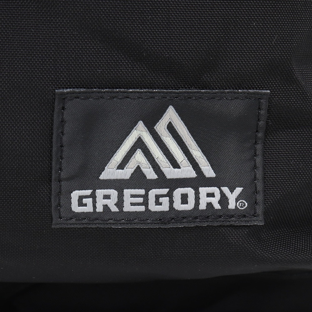 グレゴリー（GREGORY）（メンズ、レディース）バッグ バックパック リュック リラックスデイ 1557661041