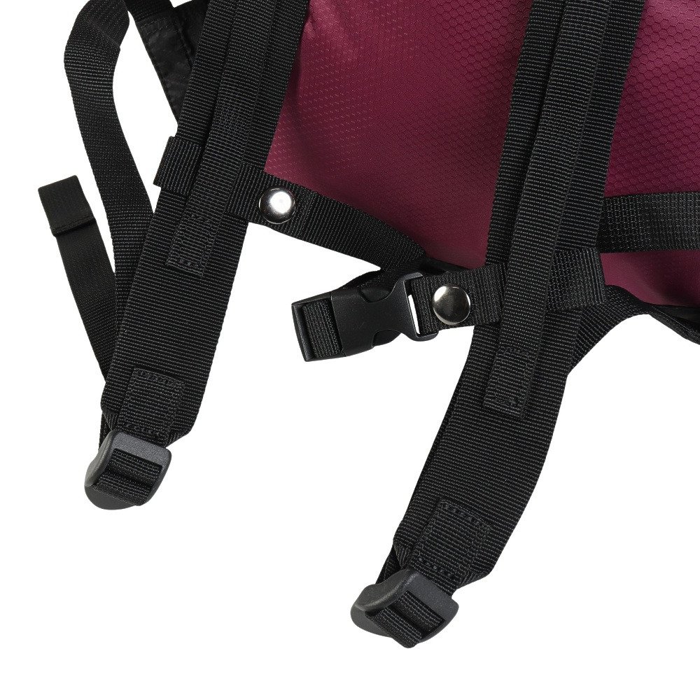 ロジャーエーガー（ROGEREGGER）（メンズ、レディース）バッグ バックパック リュック Light Sack 10L RE26S335650006 ENG