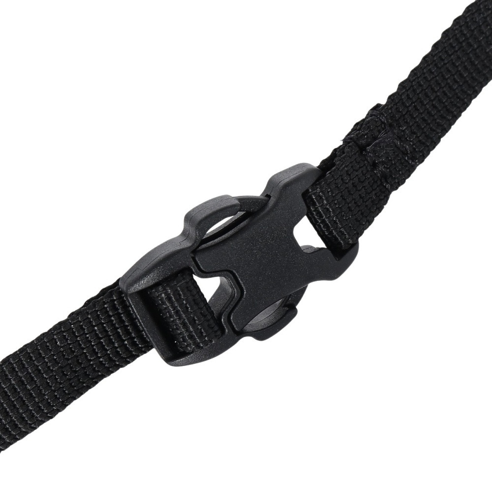 スノーピーク（snow peak）（メンズ、レディース）バッグ バックパック リュック Everyday Use サコッシュ AC-21AU417RGY