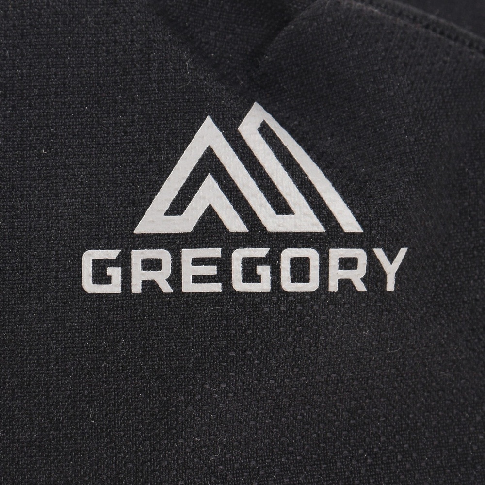 グレゴリー（GREGORY）（メンズ、レディース）ウエストポーチ ボディバッグ スケッチ3 1196491052 ブラックカーボン 3L