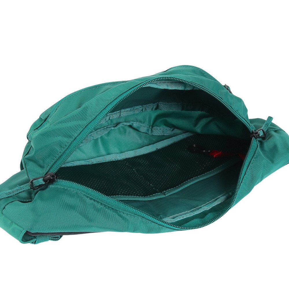 ザ・ノース・フェイス（THE NORTH FACE）（メンズ、レディース）ウエストバッグ ウエストポーチ RHEA リーア NM72350X FF 2.5L グリーン