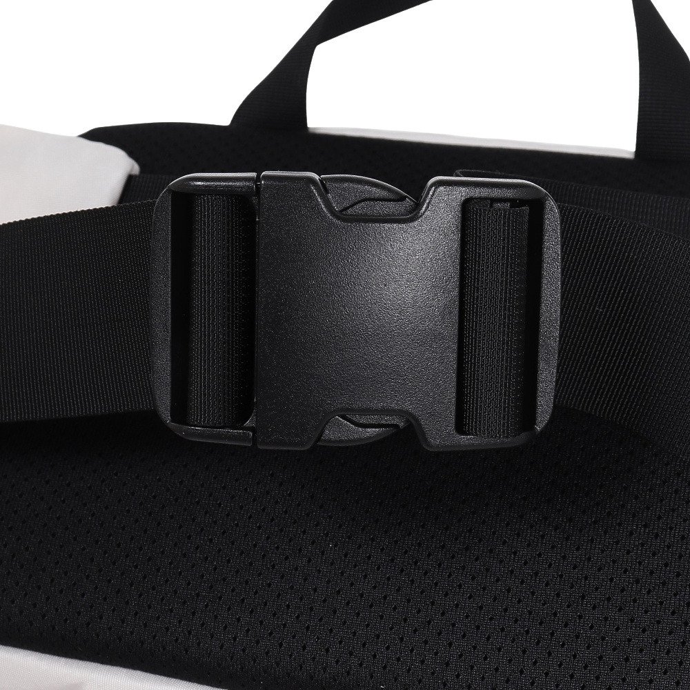 ミステリーランチ（Mystery Ranch）（メンズ、レディース）ウエストバッグ ヒップモンキー2 ホワイト 19761098110000