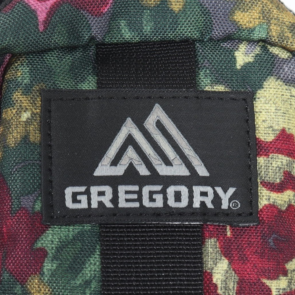グレゴリー（GREGORY）（メンズ、レディース）ポーチ バッグ 0.57L クイックパデッドケースM 1351400511 小物入れ W10×H18×D4