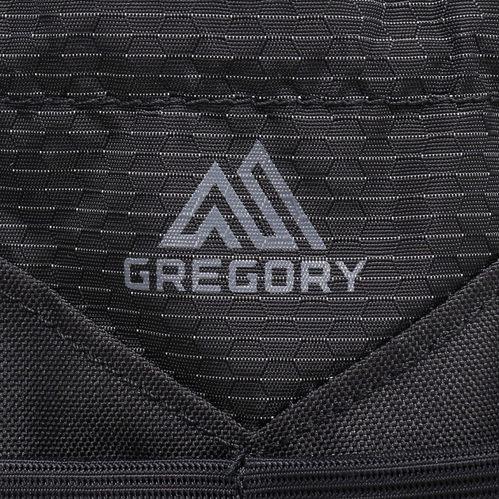 グレゴリー（GREGORY）（メンズ、レディース）ポーチ バッグ ナノウォーターボトルケース 1540759974
