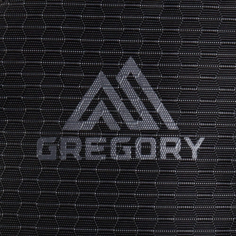 グレゴリー（GREGORY）（メンズ、レディース）ポーチ バッグ ナノパデッドケースM 1540799974