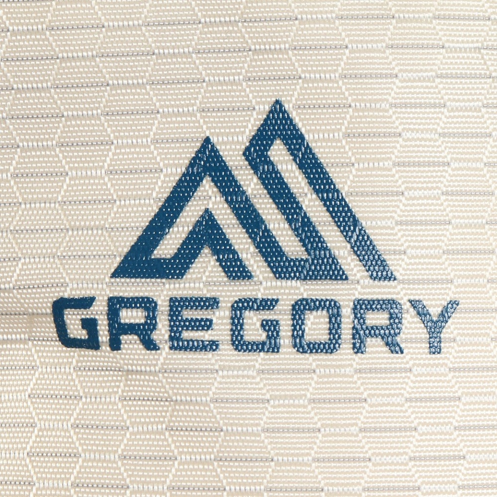 グレゴリー（GREGORY）（メンズ、レディース）ポーチ バッグ ナノパデッドケースM 154079A545