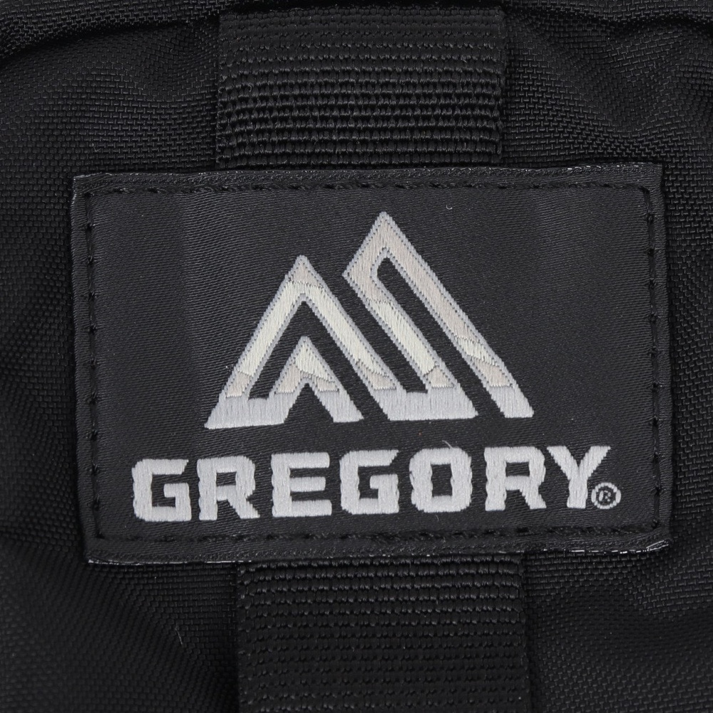 グレゴリー（GREGORY）（メンズ、レディース）ポーチ バッグ 0.3L クイックパデッドケースS 1351411041 ブラック 小物入れ W9×H16.5×D3