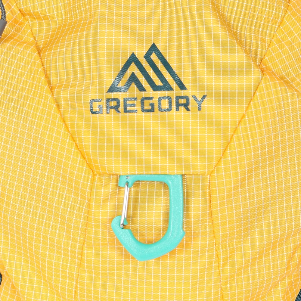 グレゴリー（GREGORY）（キッズ）バッグ 子供用 デイパック ジュニア ワンダー8 149332A258