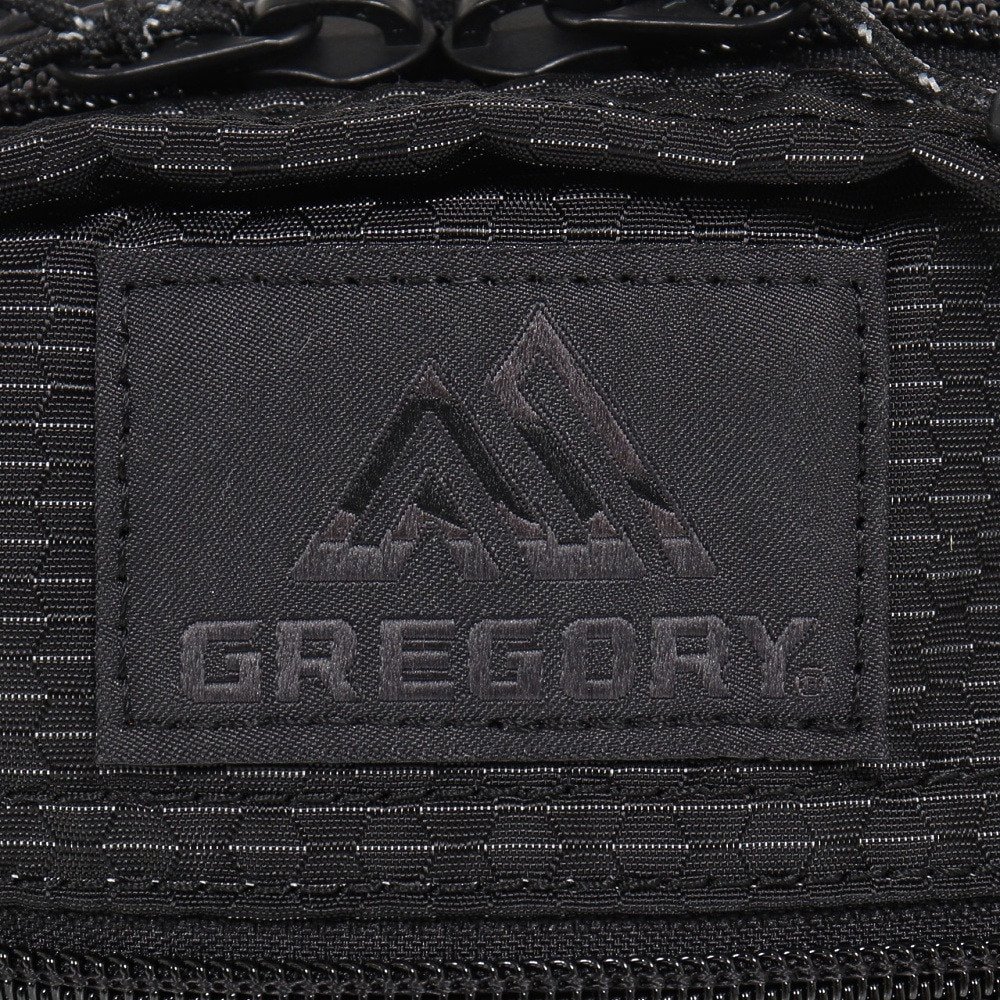 グレゴリー（GREGORY） ポーチ ショルダーバッグ クイックポケット M 654599868 ブラックロビック 2L 防災