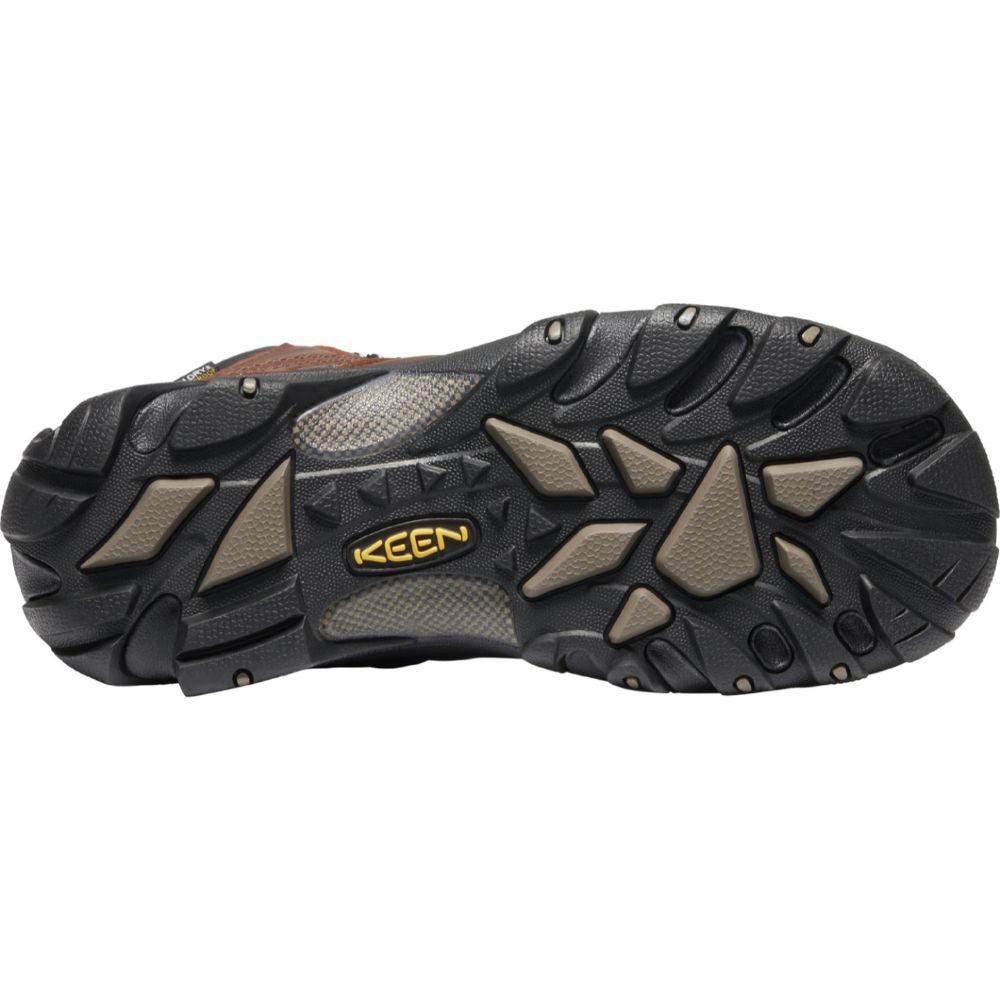 キーン（KEEN）（メンズ）トレッキングシューズ ハイカット 登山靴 ピレニーズ 1002435 ブラウン 防水