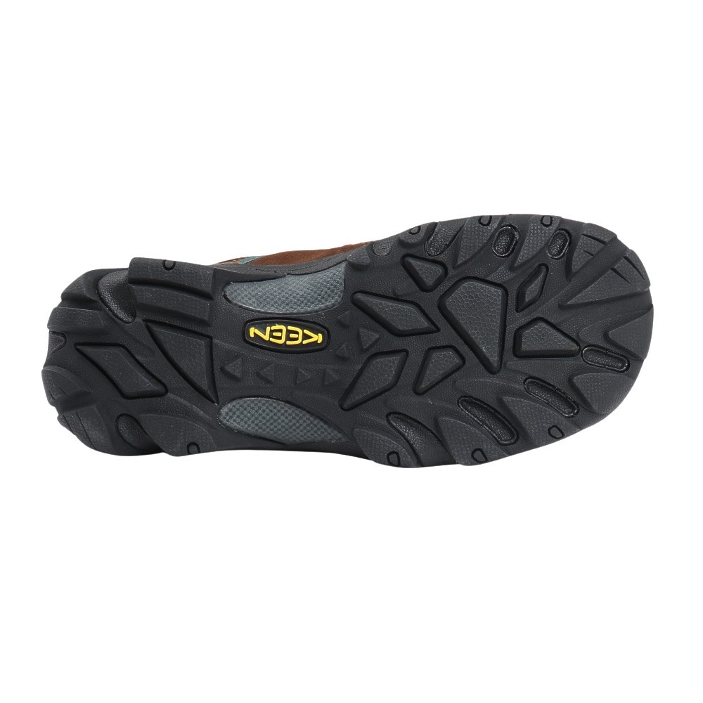 キーン（KEEN）（メンズ）トレッキングシューズ ハイカット 登山靴 ターギーII ミッド 防水 1029398